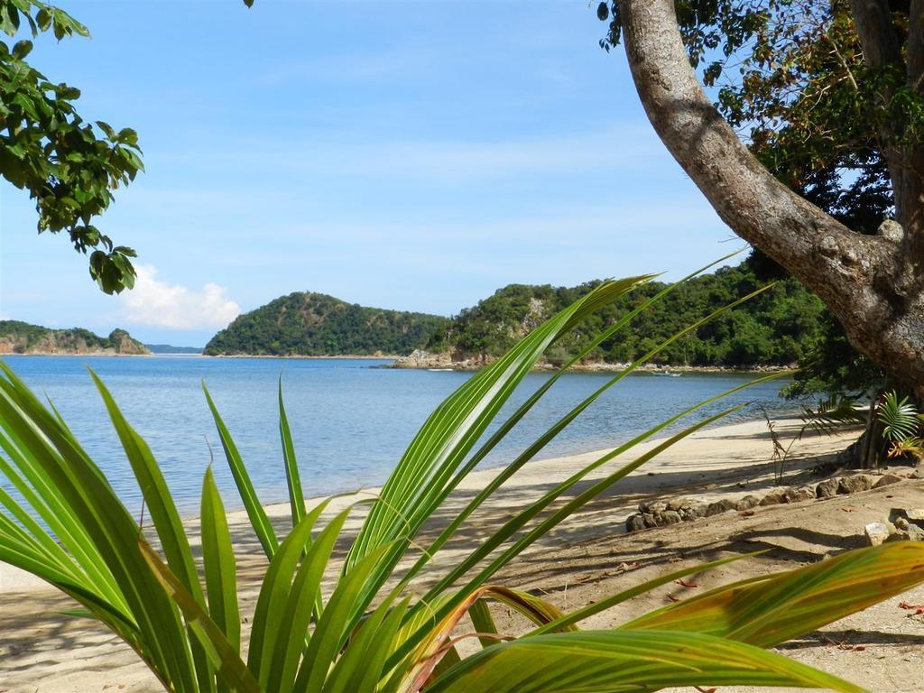 Cashew Grove Beach Resort Busuanga Eksteriør bilde