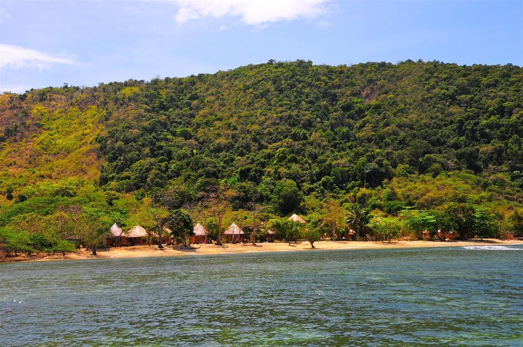 Cashew Grove Beach Resort Busuanga Eksteriør bilde