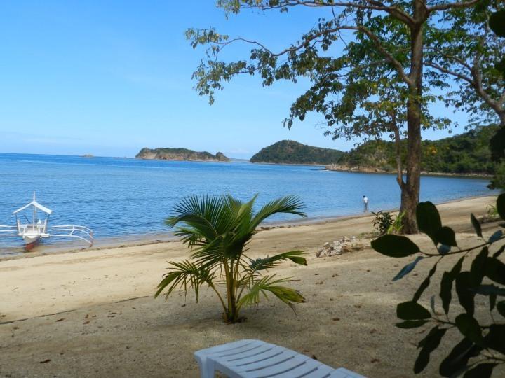 Cashew Grove Beach Resort Busuanga Eksteriør bilde