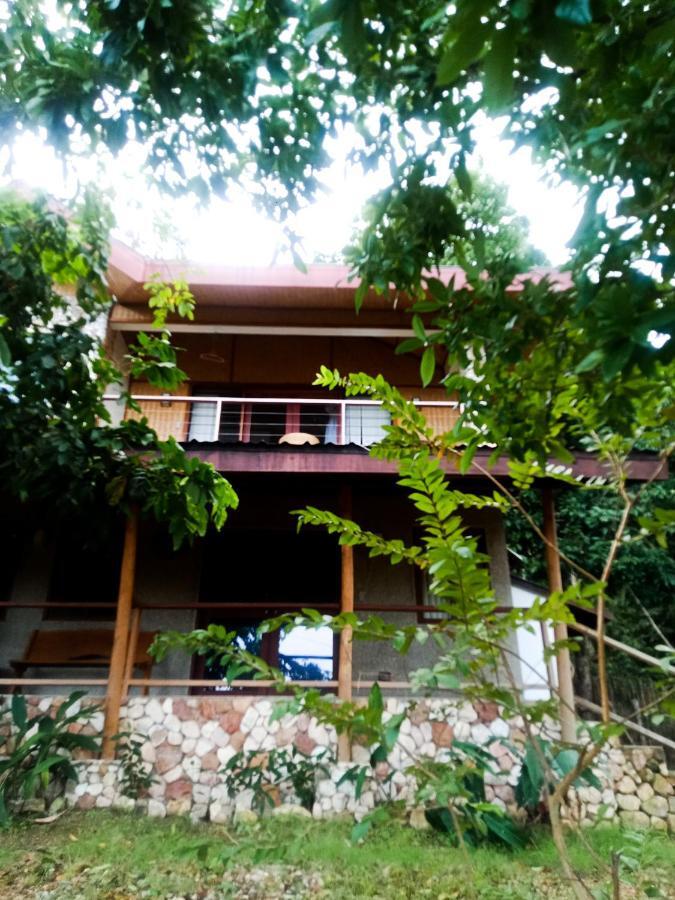 Cashew Grove Beach Resort Busuanga Eksteriør bilde